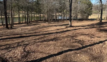 Land Clearing